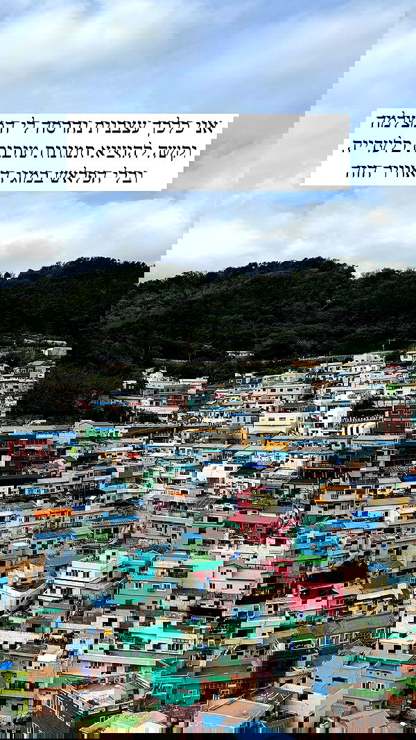 itsilanosh itsilanosh archive image