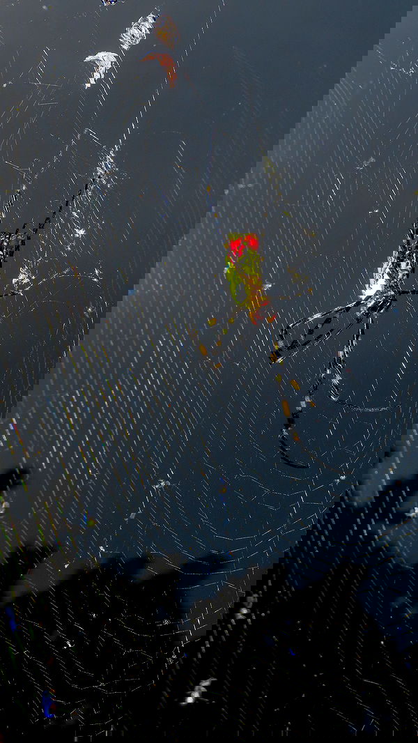 itsilanosh itsilanosh archive image