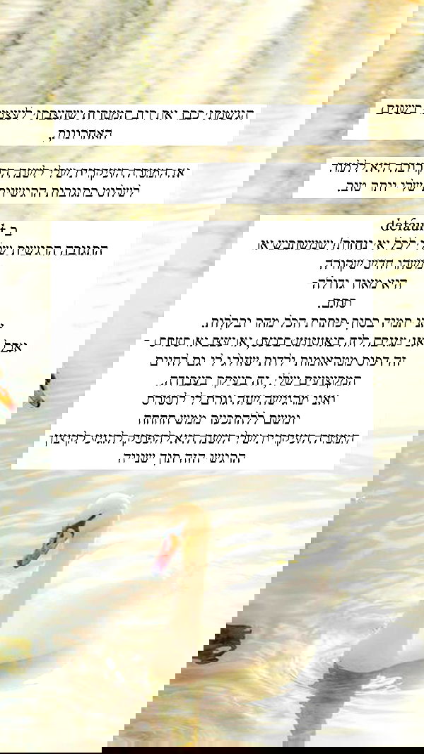 itsilanosh itsilanosh archive image