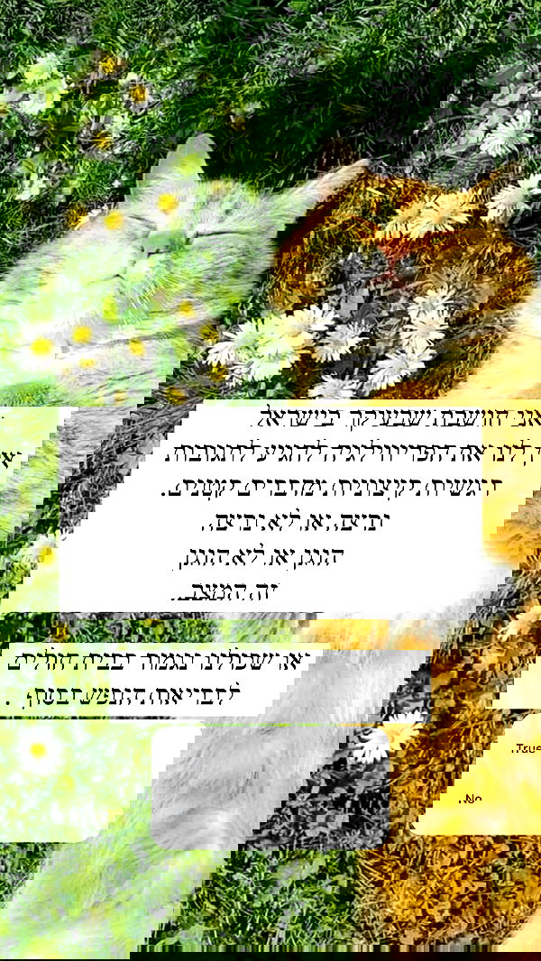 itsilanosh itsilanosh archive image