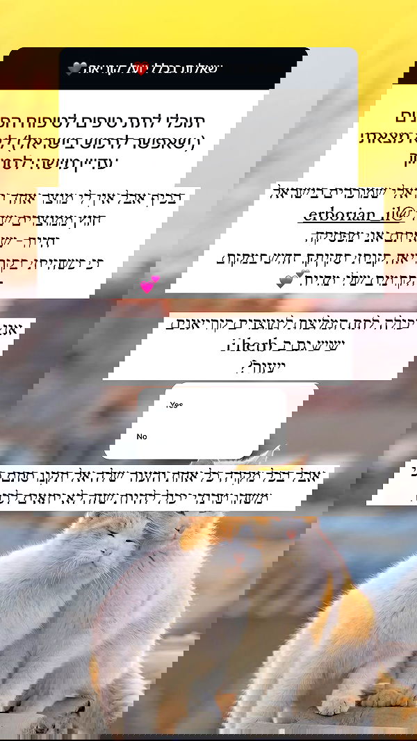 itsilanosh itsilanosh archive image