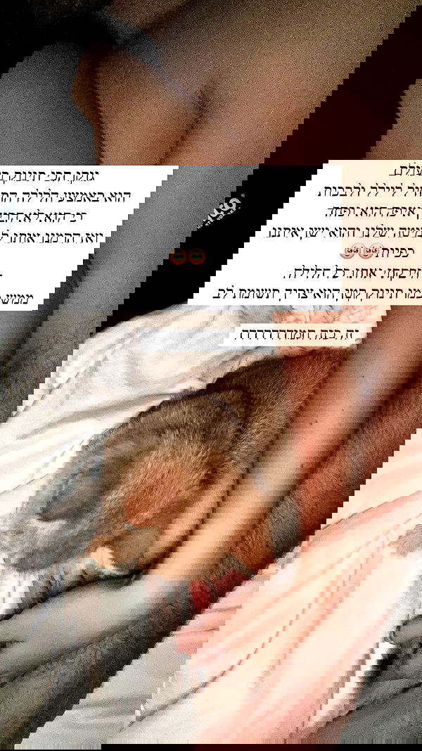 itsilanosh itsilanosh archive image