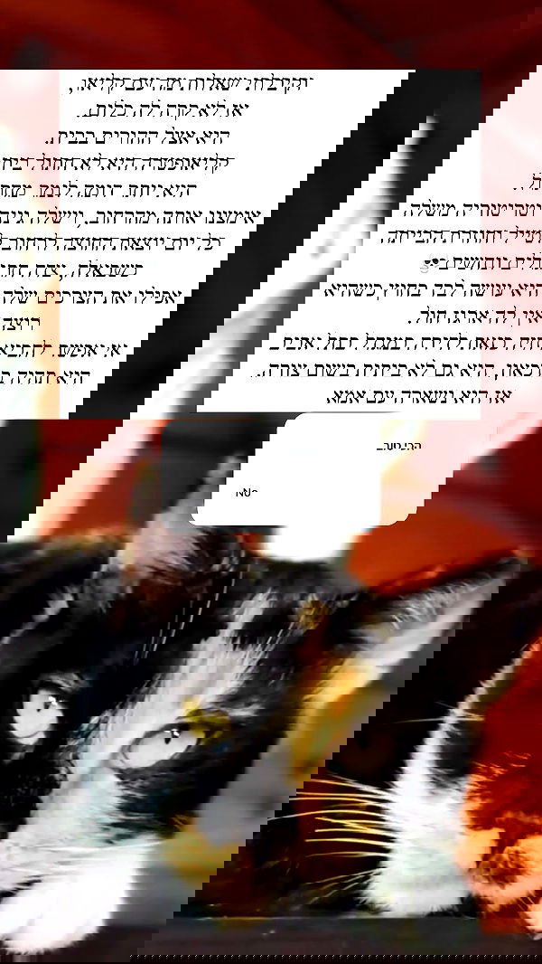 itsilanosh itsilanosh archive image