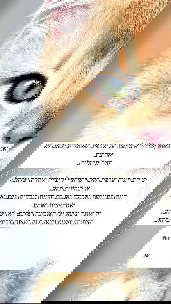 itsilanosh itsilanosh archive image