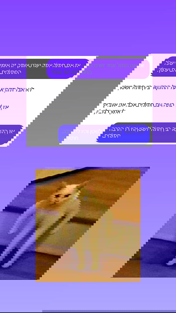 itsilanosh itsilanosh archive image