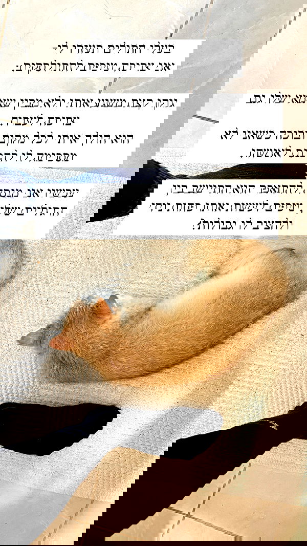 itsilanosh itsilanosh archive image