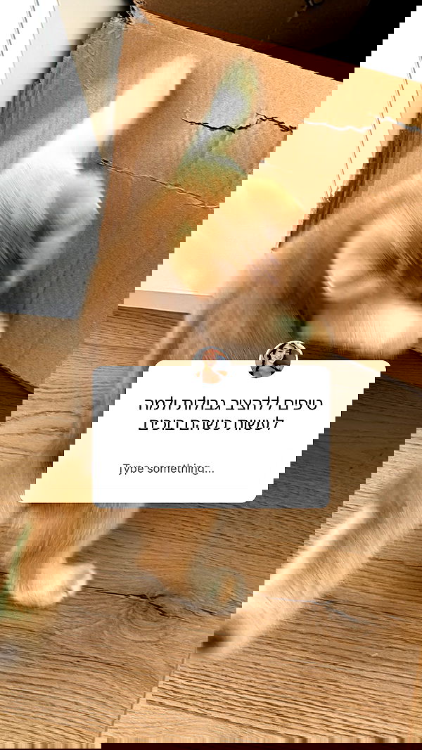 itsilanosh itsilanosh archive image