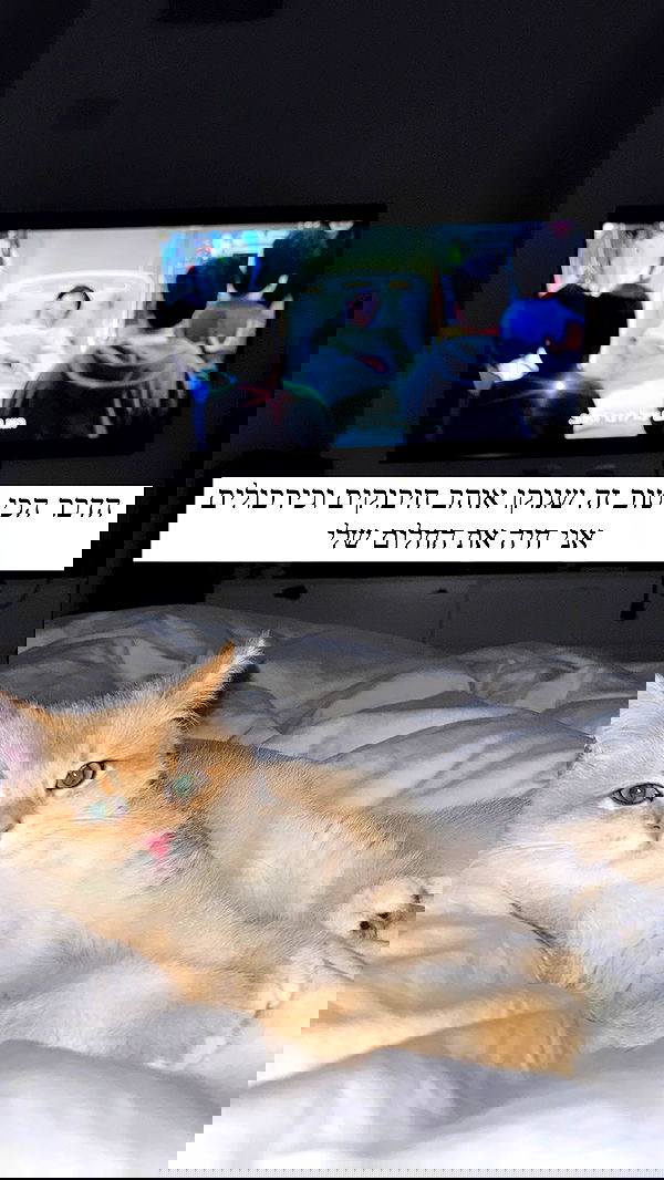 itsilanosh itsilanosh archive image