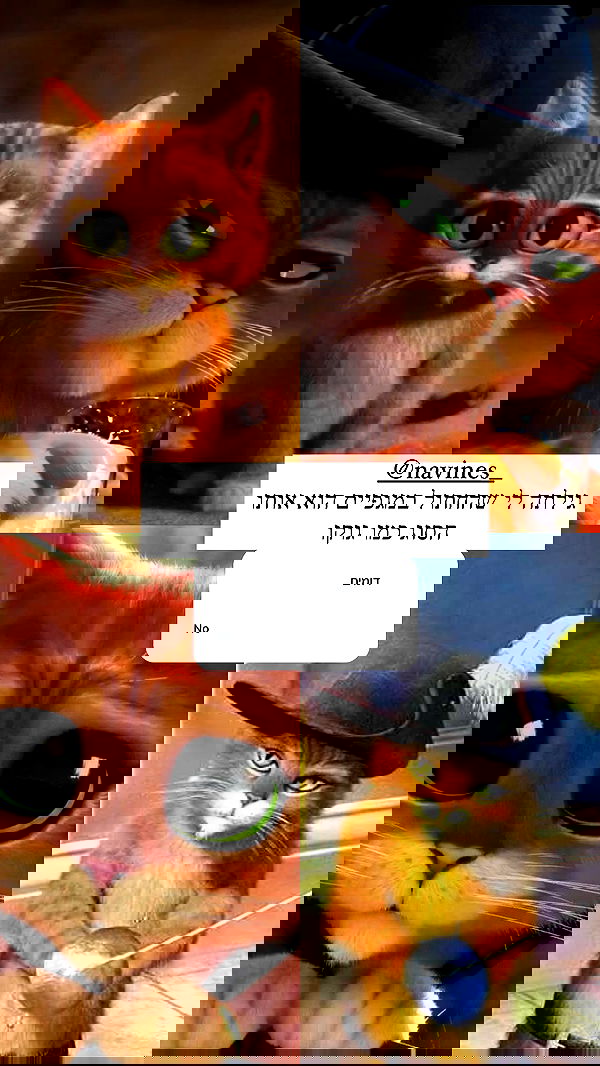 itsilanosh itsilanosh archive image