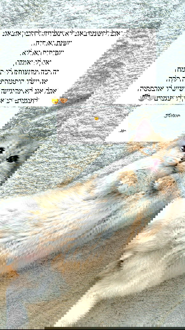 itsilanosh itsilanosh archive image