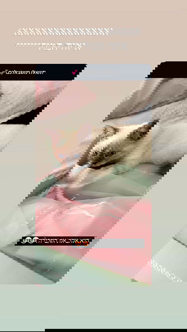 itsilanosh itsilanosh archive image