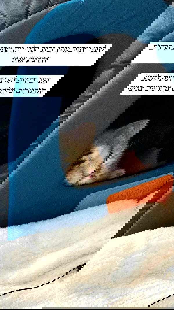 itsilanosh itsilanosh archive image