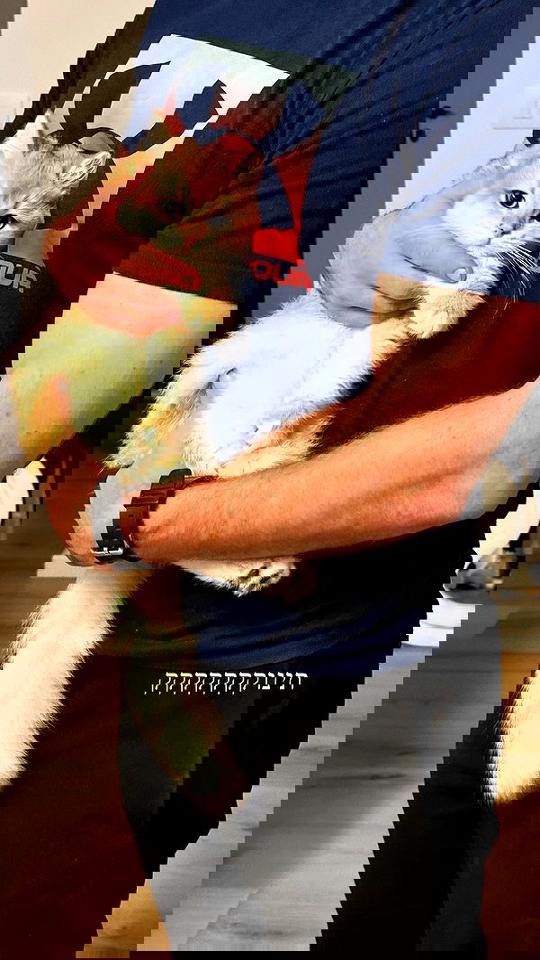 itsilanosh itsilanosh archive image