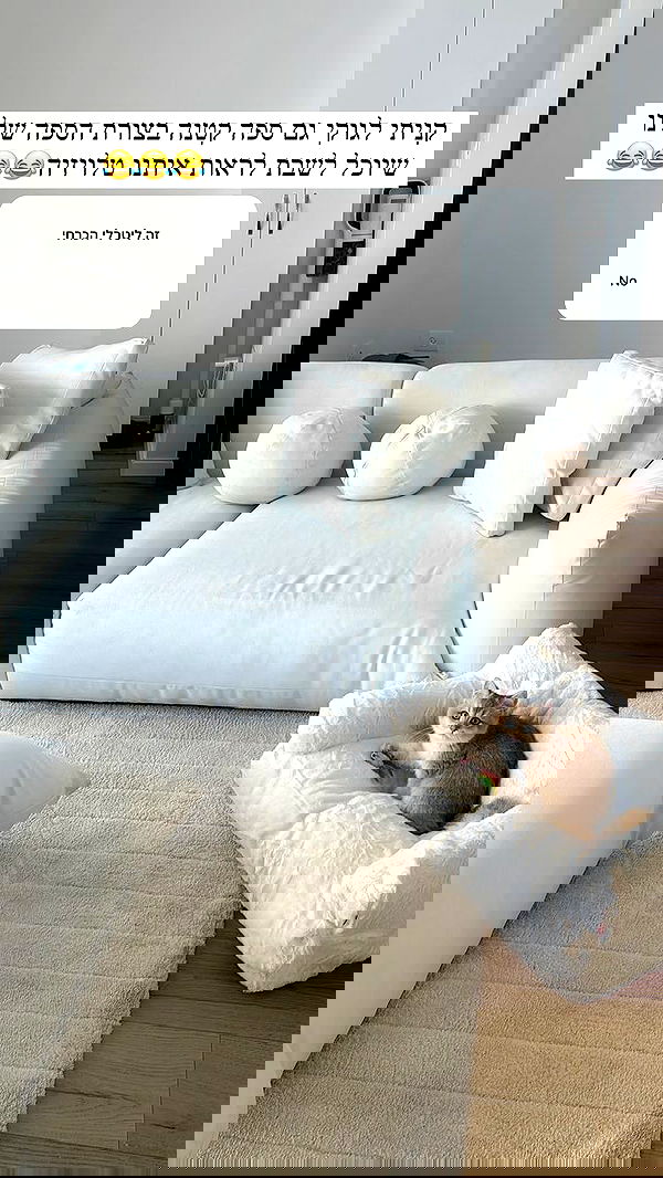 itsilanosh itsilanosh archive image