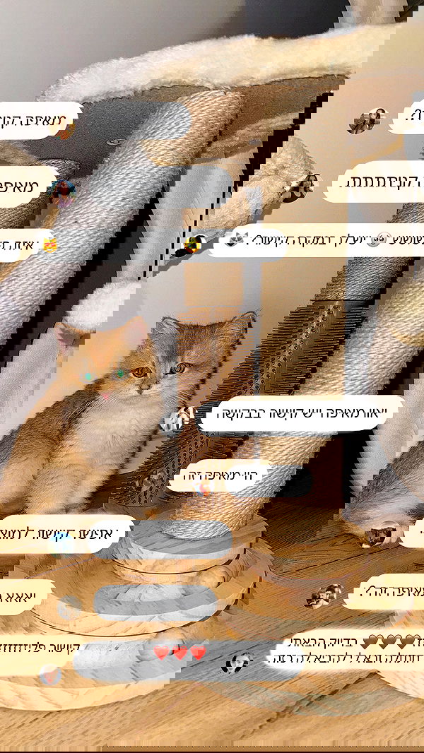 itsilanosh itsilanosh archive image