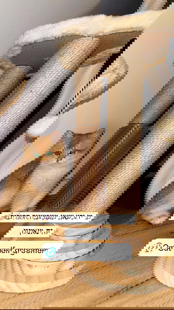 itsilanosh itsilanosh archive image