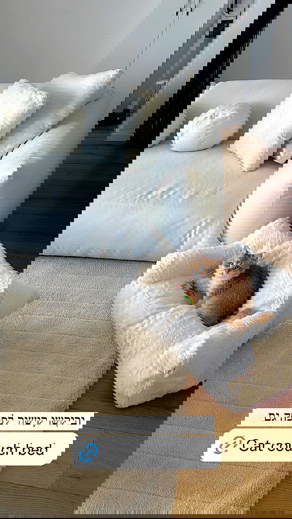 itsilanosh itsilanosh archive image