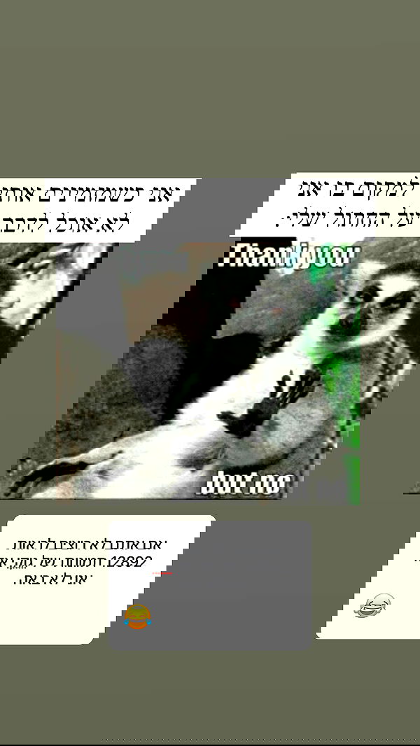 itsilanosh itsilanosh archive image