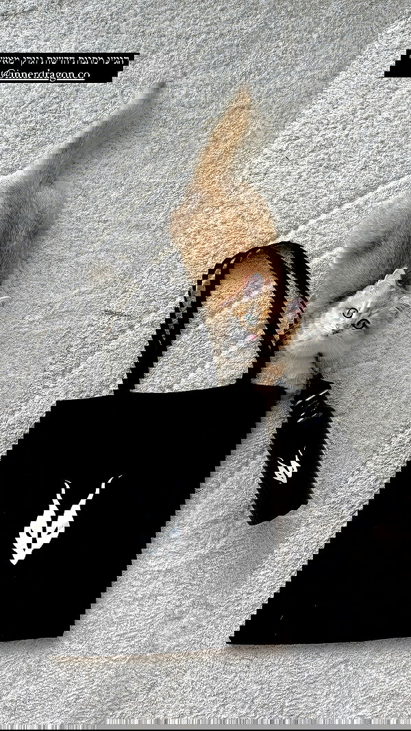 itsilanosh itsilanosh archive image