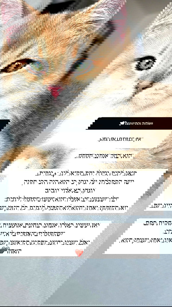 itsilanosh itsilanosh archive image