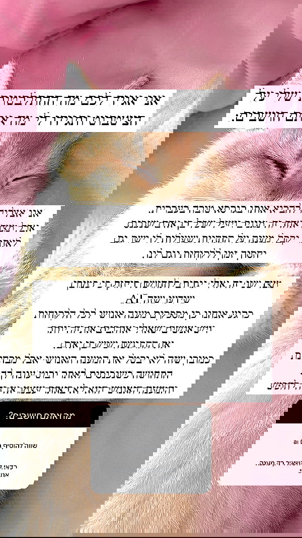 itsilanosh itsilanosh archive image