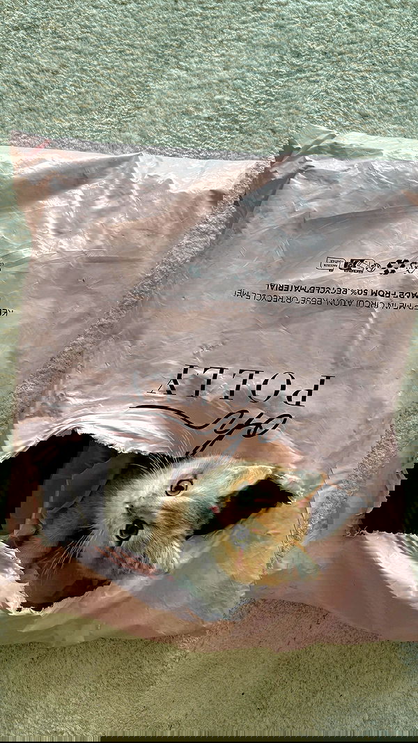 itsilanosh itsilanosh archive image