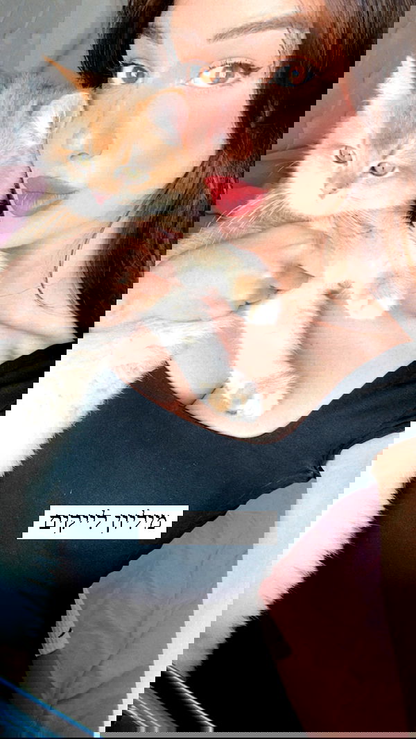 itsilanosh itsilanosh archive image