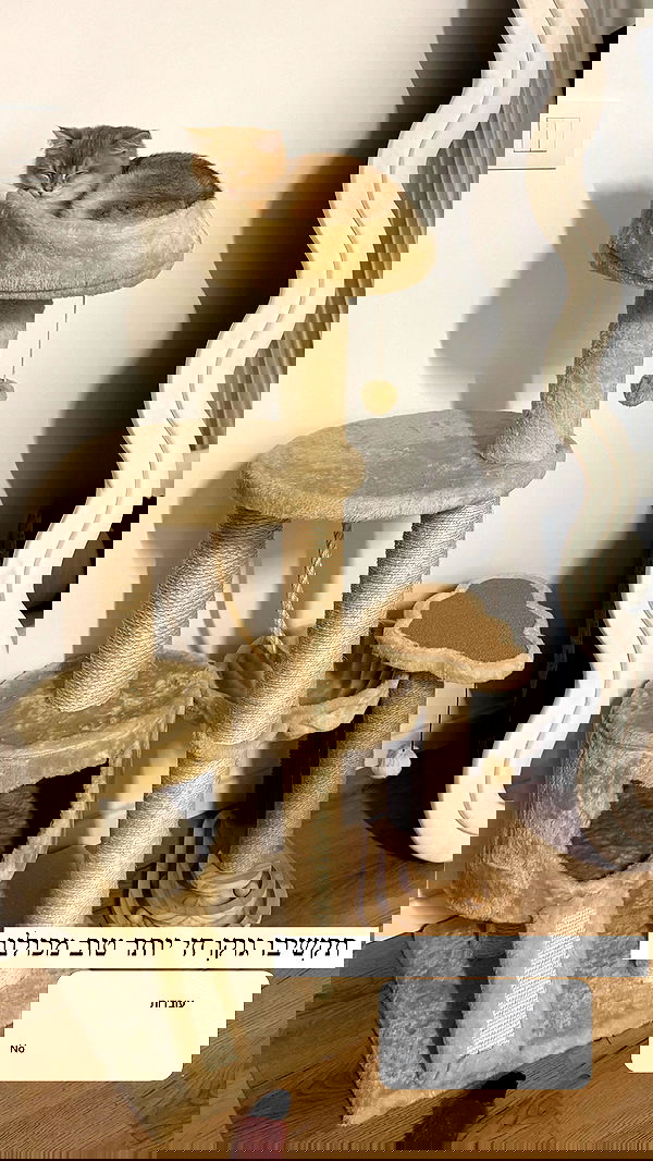 itsilanosh itsilanosh archive image