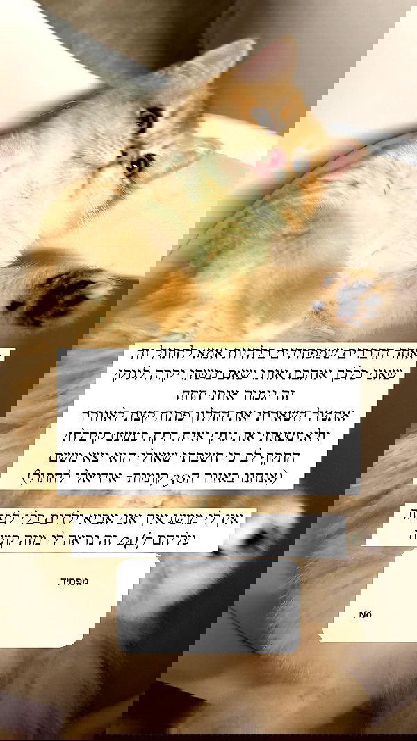 itsilanosh itsilanosh archive image