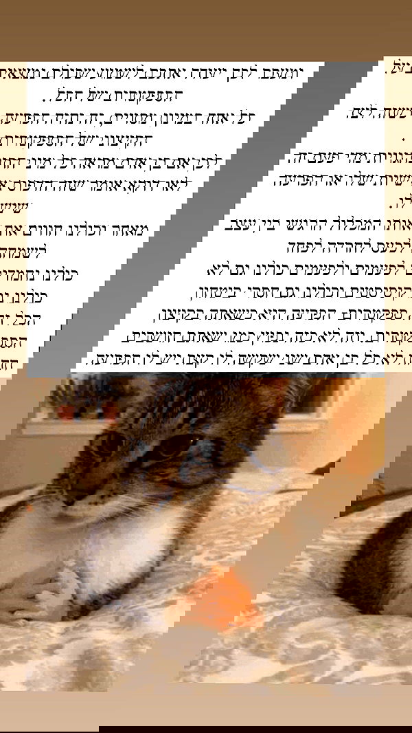 itsilanosh itsilanosh archive image