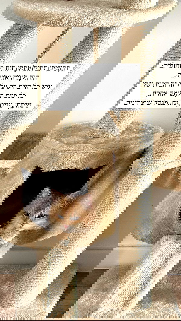 itsilanosh itsilanosh archive image