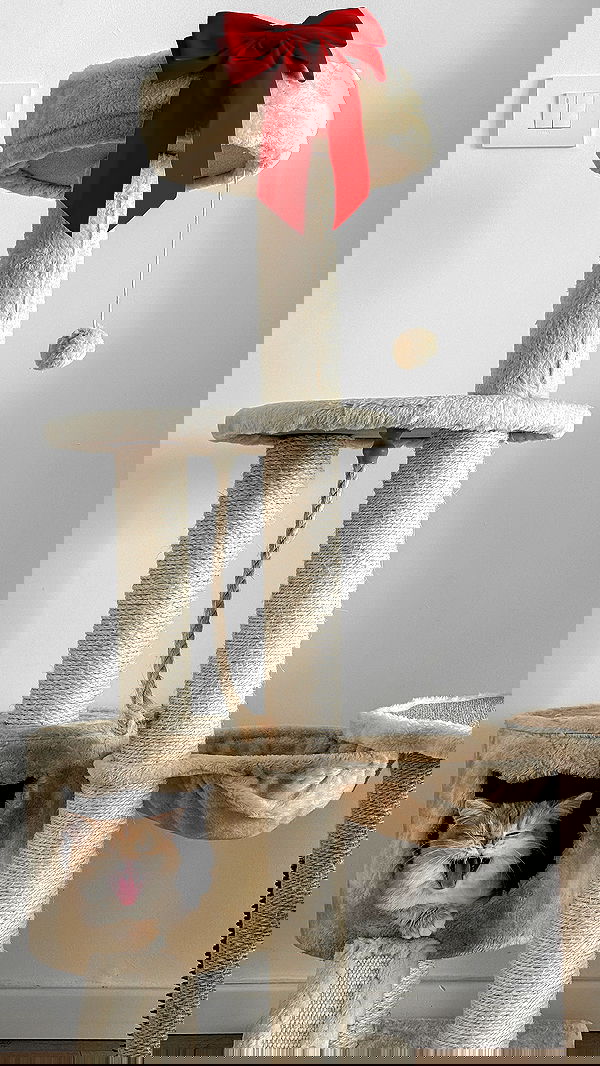 itsilanosh itsilanosh archive image