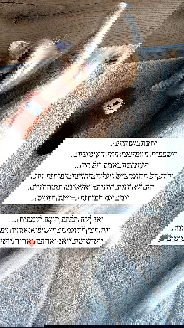 itsilanosh itsilanosh archive image