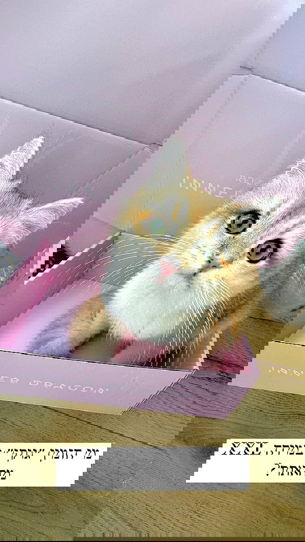 itsilanosh itsilanosh archive image