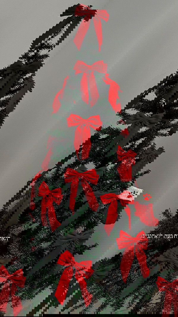 itsilanosh itsilanosh archive image