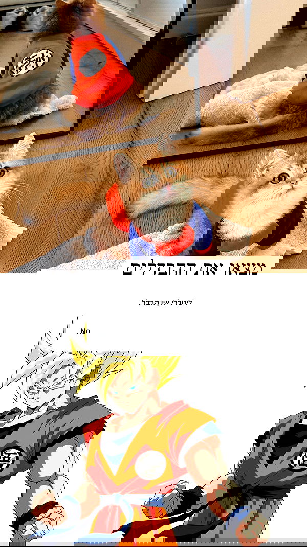 itsilanosh itsilanosh archive image