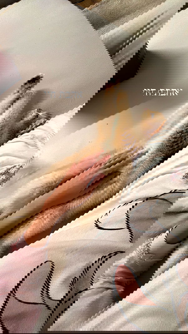 itsilanosh itsilanosh archive image