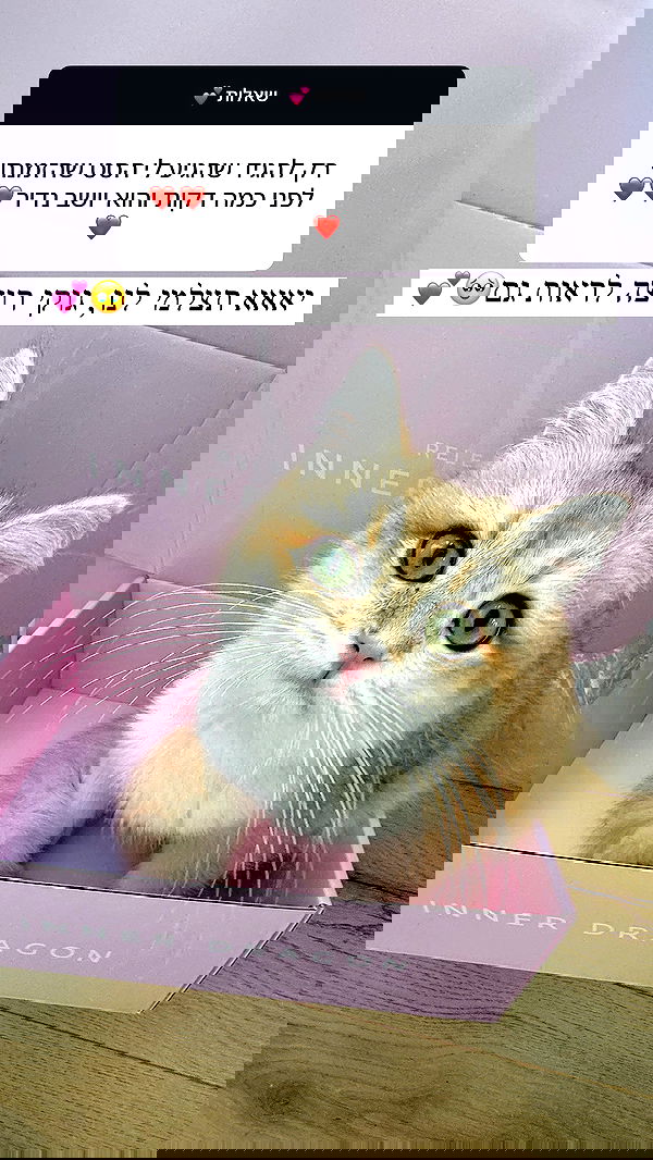 itsilanosh itsilanosh archive image