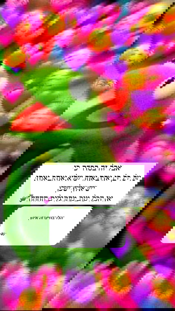 itsilanosh itsilanosh archive image