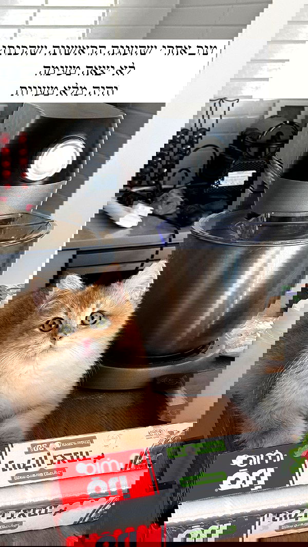 itsilanosh itsilanosh archive image