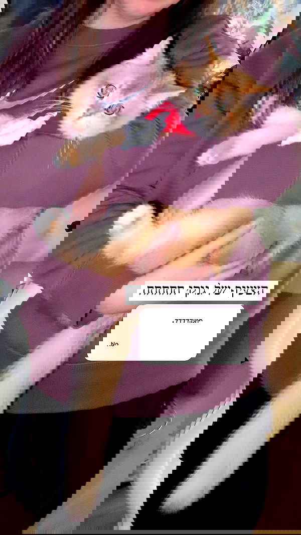 itsilanosh itsilanosh archive image