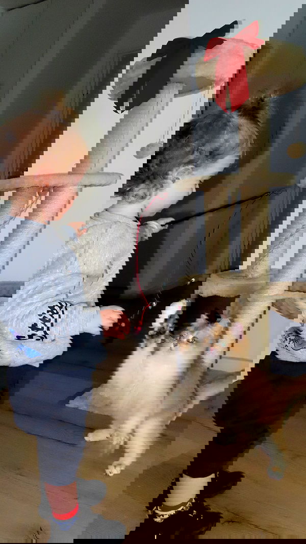 itsilanosh itsilanosh archive image