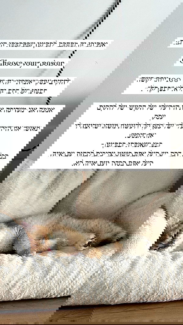 itsilanosh itsilanosh archive image