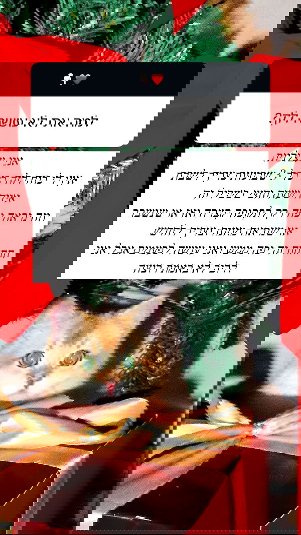 itsilanosh itsilanosh archive image