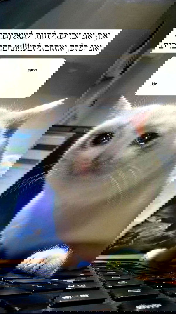 itsilanosh itsilanosh archive image