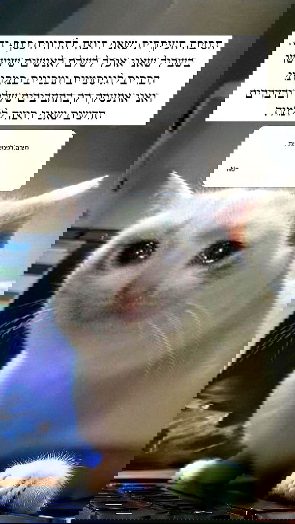 itsilanosh itsilanosh archive image