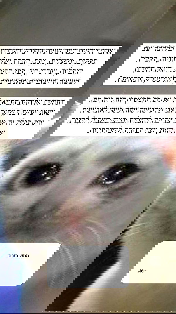 itsilanosh itsilanosh archive image