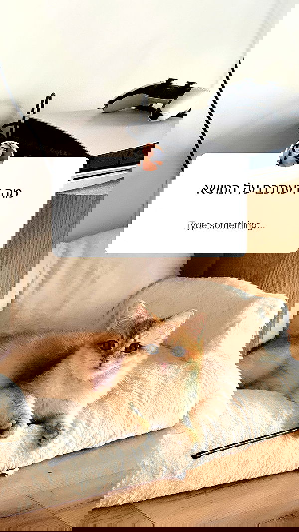 itsilanosh itsilanosh archive image