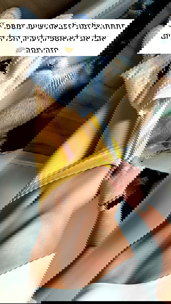 itsilanosh itsilanosh archive image