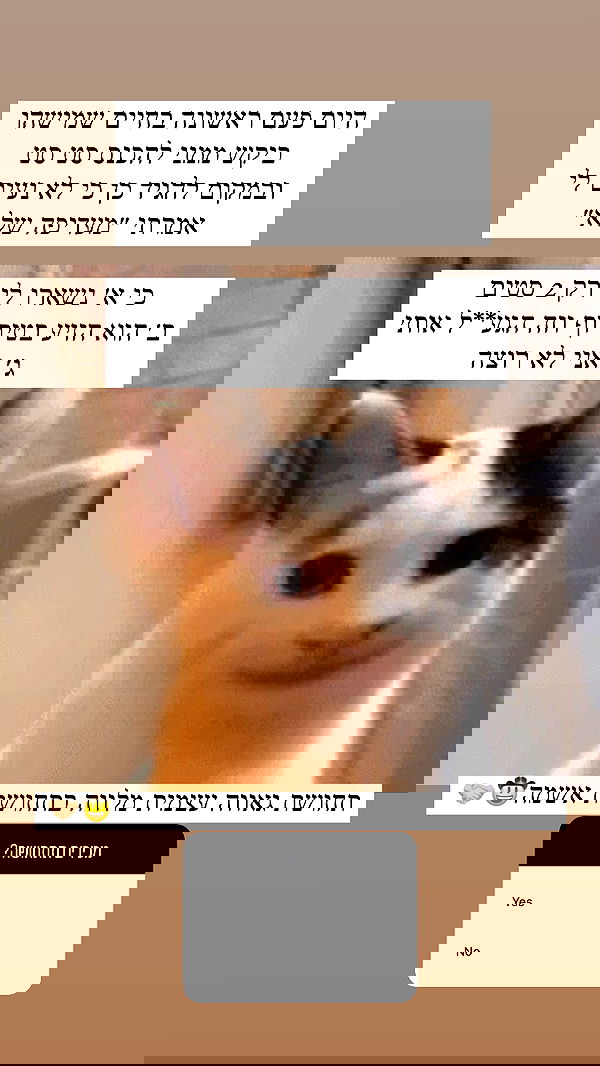 itsilanosh itsilanosh archive image